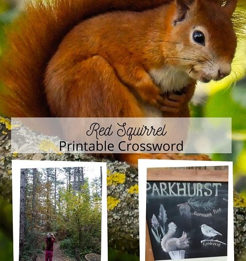 Red Squirrel Printable Crossword