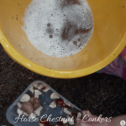 How to make conker soap